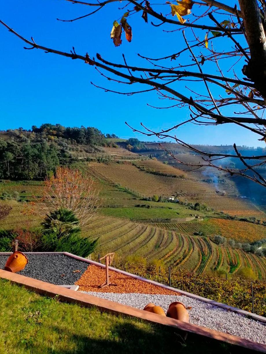 Quinta De Baixo Villa Vila Marim Eksteriør billede